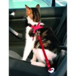 Cinturón De Seguridad Para Auto Perro #21057 - Imagen 2