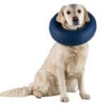 Collar Isabelino Inflable Perros Talla Xl #S-5