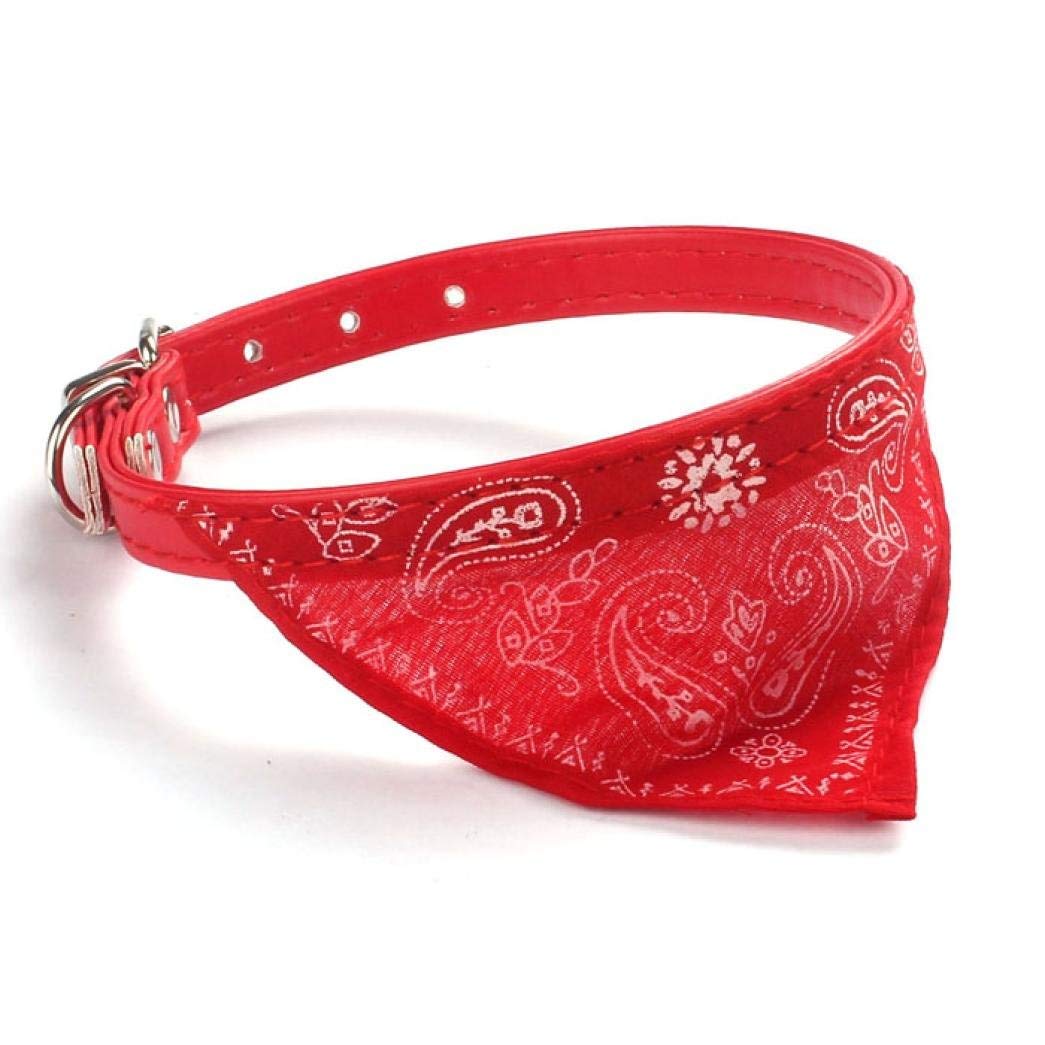 collar con pañuelo Collar Con Pañoleta Perro Talla S #31003 FYN - Imagen 1