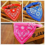 Collar Con Pañoleta Perro Talla S #31003 FYN - Imagen 2