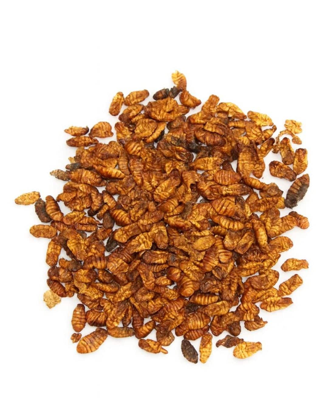 pupas Pupas del Gusano de la Seda 50gr #Silk MBN - Imagen 1