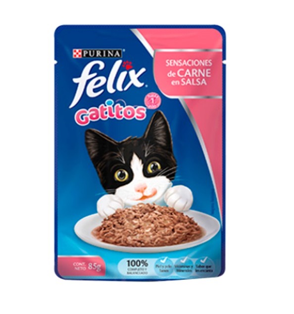 Gatitos Carne
