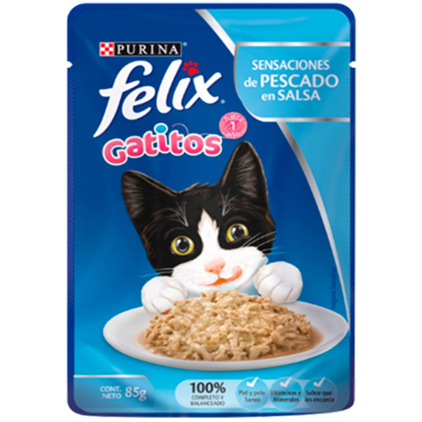 Gatitos Pescado