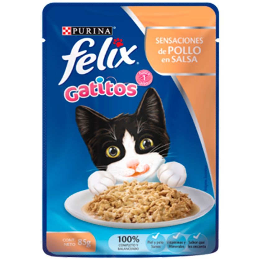 Gatitos Pollo