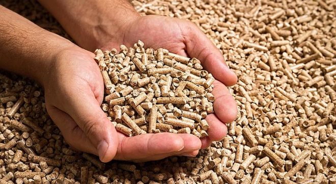 Pellet De Viruta Orgánica 2k - Imagen 2