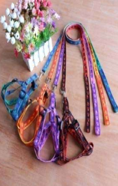 Arnes Con Estampado Talla M - Imagen 2