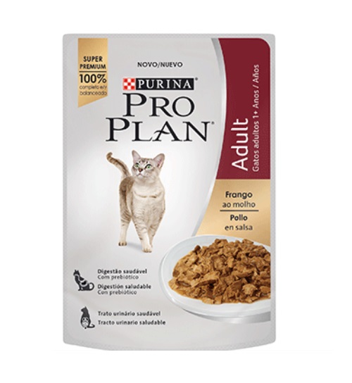 Pollo