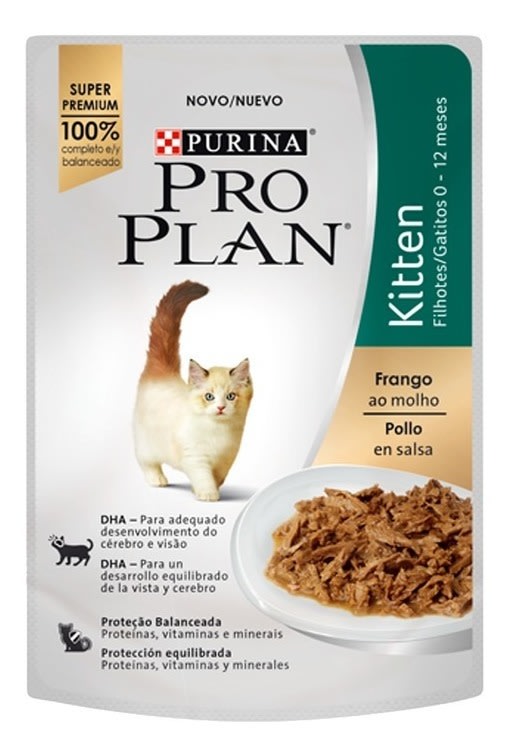 Pollo Kitten
