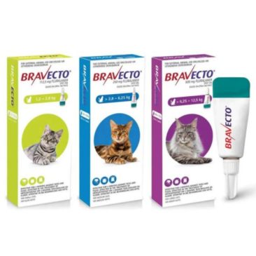 Bravecto Plus Gato 2.8 A 6.25 Kilos Pipeta #5007718 DGÑ - Imagen 2