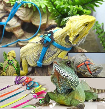 Arnés Para Pequeñas Mascotas #LvL313 - Imagen 4