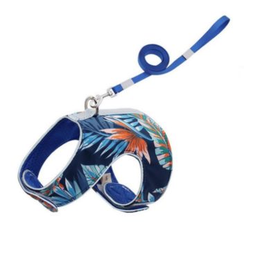 Arnés Para Gato Diseño Talla S #Fb857 - Imagen 4