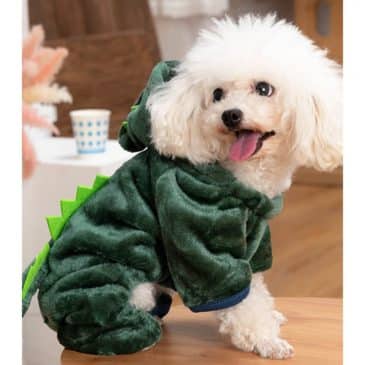 Ropa Con Patitas Dinosaurio #29567 - Imagen 2