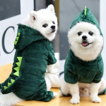 Ropa Con Patitas Dinosaurio #29567 - Imagen 5