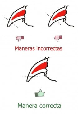 Tijera para uñas Para Mascotas Talla L - Imagen 2