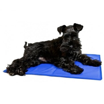 Manta Refrescante Xl Pet Cool Mat FYN - Imagen 2