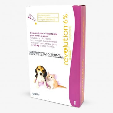 Revolution 6% Cachorro