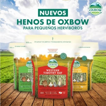 Heno Oxbow 425Gr ACW - Imagen 2