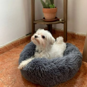 Cama Peluda Para Mascotas #fep-120 - Imagen 4