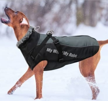 Parka Para Perro Grande #683-2xl - Imagen 4