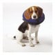 Collar Isabelino Inflable Perros Y Gatos Talla M