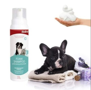 Shampoo Espuma Seco Bioline 220 Ml - Imagen 2