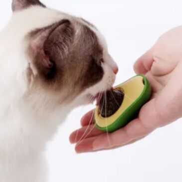 Catnip Palta - Bola Giratoria - Imagen 4