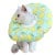 Limon