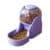 Morado