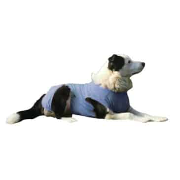 BODY DE COBRE PARA PERRO TALLA 11 - Imagen 3