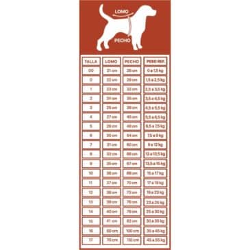 BODY DE COBRE PARA PERRO TALLA 11 - Imagen 4