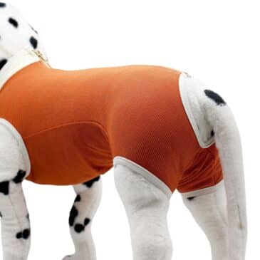 BODY DE COBRE PARA PERRO TALLA 11