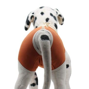 BODY DE COBRE PARA PERRO TALLA 11 - Imagen 2
